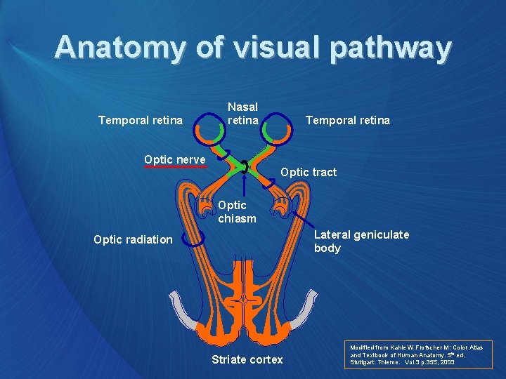 Anatomy of visual pathway Temporal retina Nasal retina Temporal retina Optic nerve Optic tract
