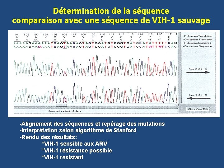 Détermination de la séquence comparaison avec une séquence de VIH-1 sauvage -Alignement des séquences