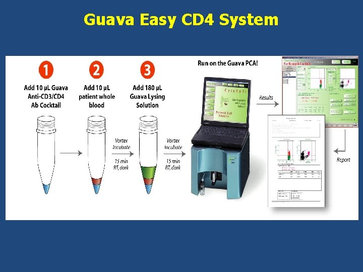 Guava Easy CD 4 System 