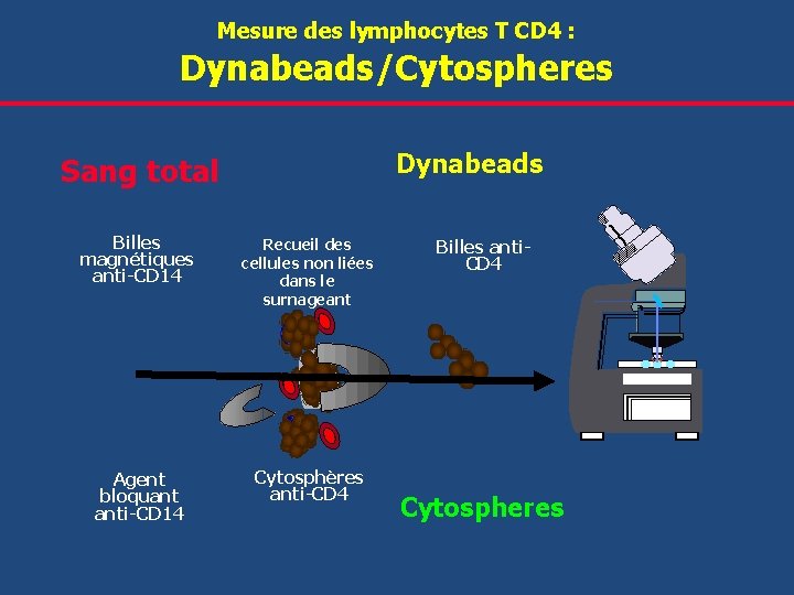  Dynabeads/Cytospheres Mesure des lymphocytes T CD 4 : Dynabeads Sang total Billes magnétiques