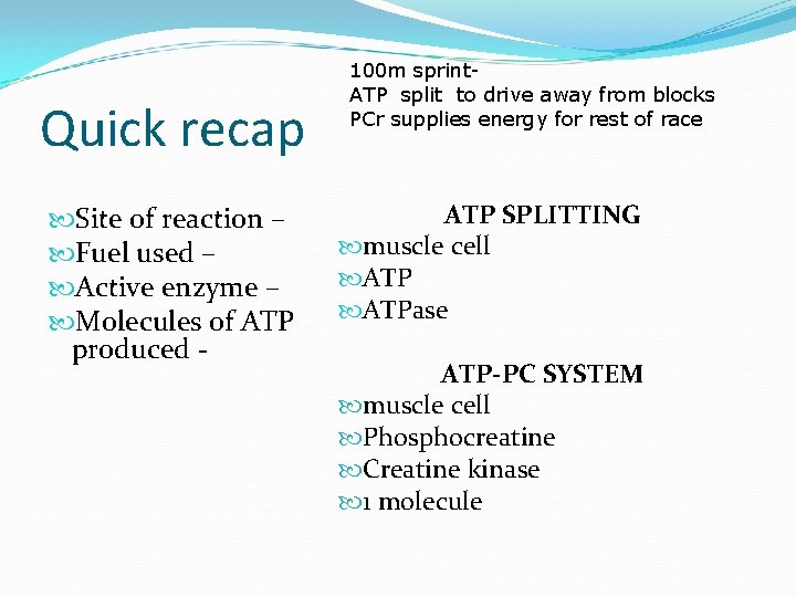 Quick recap Site of reaction – Fuel used – Active enzyme – Molecules of