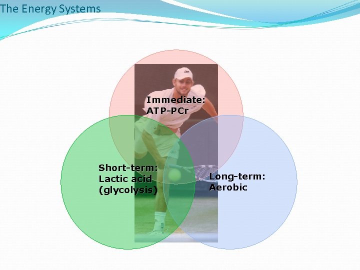 The Energy Systems Immediate: ATP-PCr Short-term: Lactic acid (glycolysis) Long-term: Aerobic 