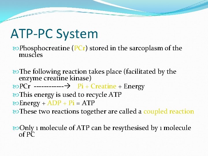 ATP-PC System Phosphocreatine (PCr) stored in the sarcoplasm of the muscles The following reaction