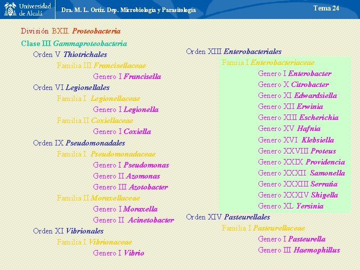 Dra. M. L. Ortiz. Dep. Microbiología y Parasitología Tema 24 División BXII. Proteobacteria Clase