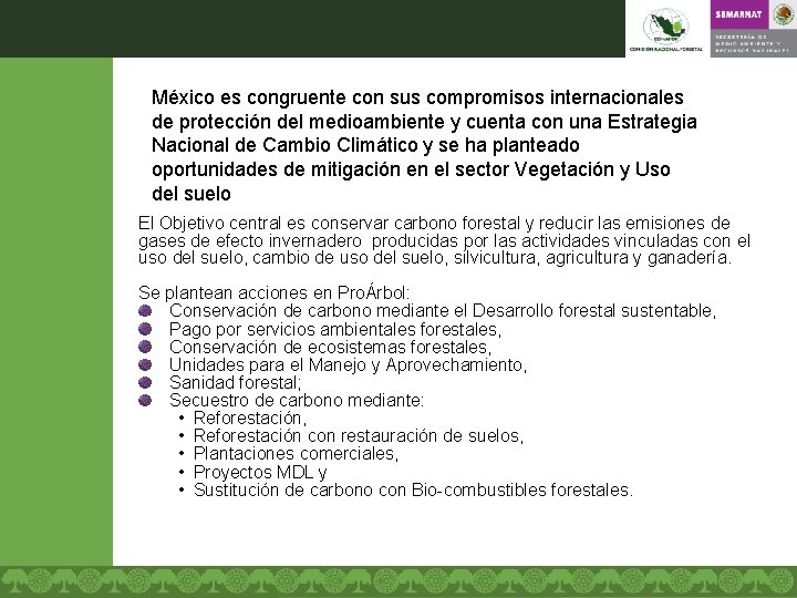 México es congruente con sus compromisos internacionales de protección del medioambiente y cuenta con