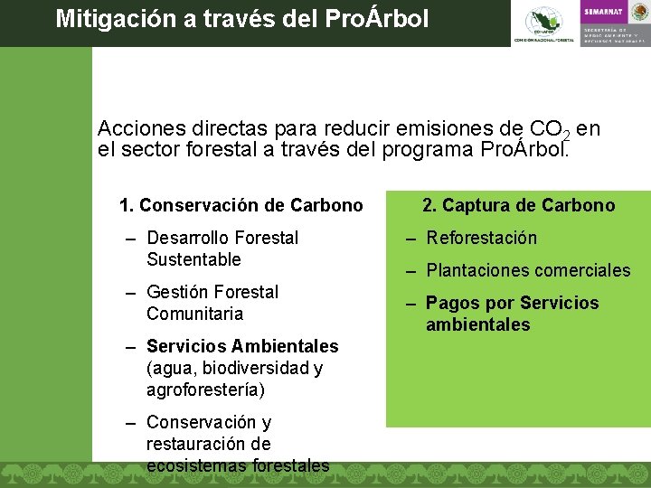 Mitigación a través del ProÁrbol Acciones directas para reducir emisiones de CO 2 en