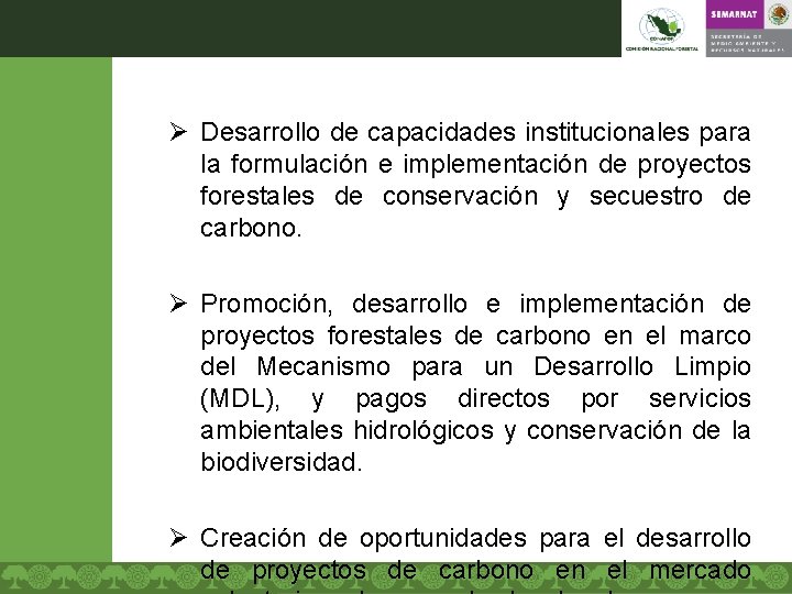 Ø Desarrollo de capacidades institucionales para la formulación e implementación de proyectos forestales de