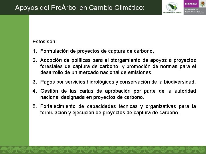 Apoyos del ProÁrbol en Cambio Climático: Estos son: 1. Formulación de proyectos de captura