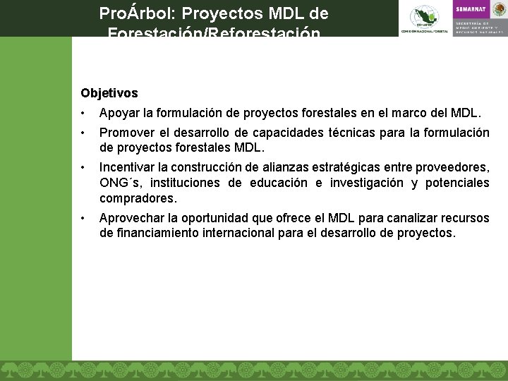 ProÁrbol: Proyectos MDL de Forestación/Reforestación Objetivos • Apoyar la formulación de proyectos forestales en