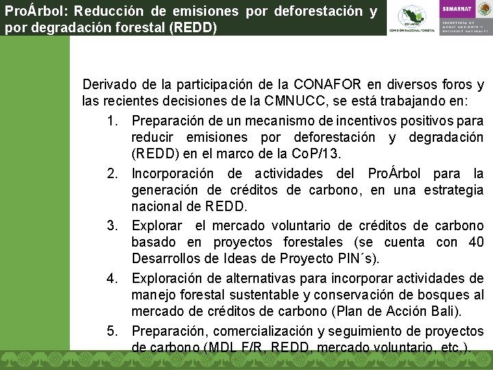 ProÁrbol: Reducción de emisiones por deforestación y por degradación forestal (REDD) Derivado de la