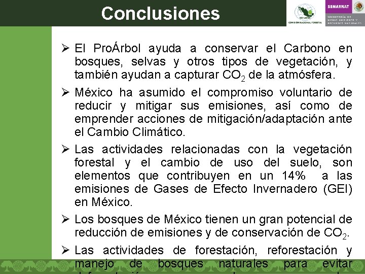 Conclusiones Ø El ProÁrbol ayuda a conservar el Carbono en bosques, selvas y otros