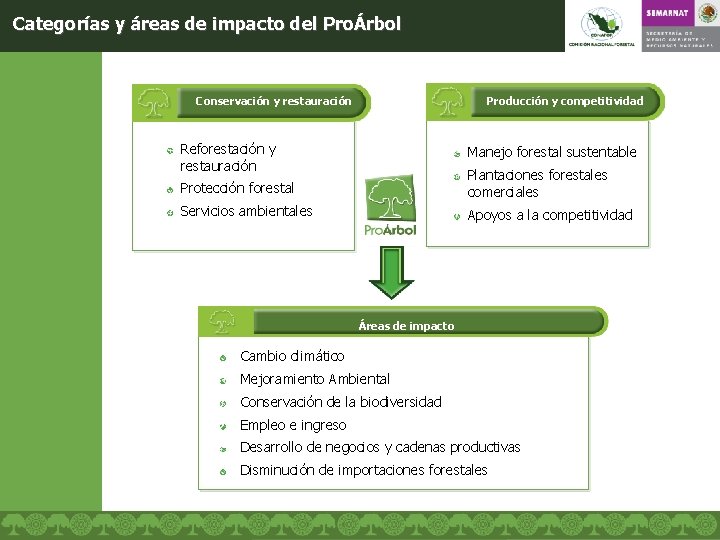 Categorías y áreas de impacto del ProÁrbol Conservación y restauración Producción y competitividad Reforestación