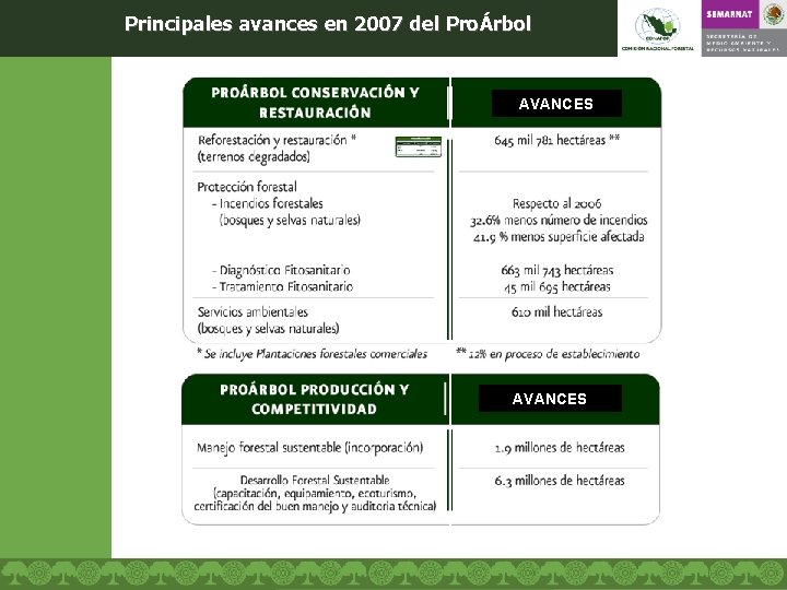Principales avances en 2007 del ProÁrbol AVANCES 