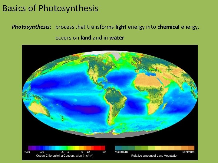Basics of Photosynthesis: process that transforms light energy into chemical energy. occurs on land