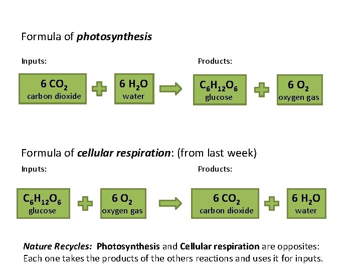 Formula of photosynthesis Inputs: CO 2 6 CO 2 carbon dioxide Products: H 2