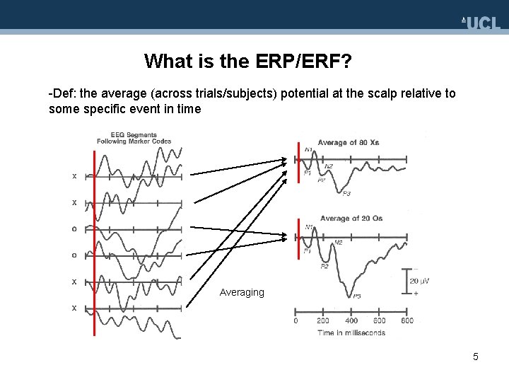 What is the ERP/ERF? -Def: the average (across trials/subjects) potential at the scalp relative