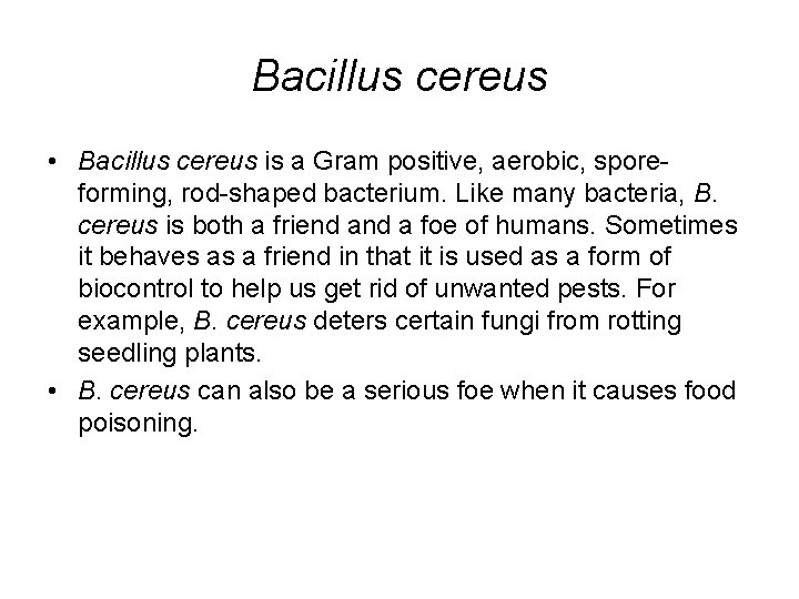 Bacillus cereus • Bacillus cereus is a Gram positive, aerobic, sporeforming, rod-shaped bacterium. Like