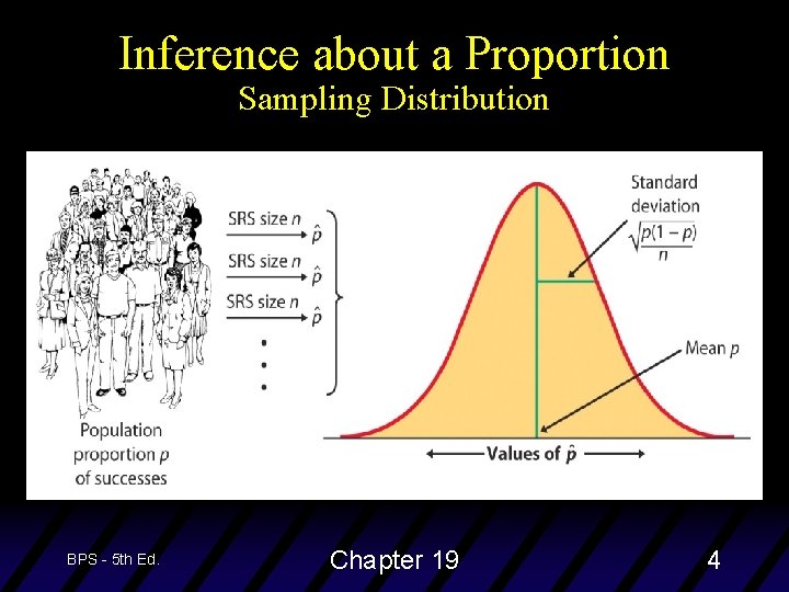 Inference about a Proportion Sampling Distribution BPS - 5 th Ed. Chapter 19 4