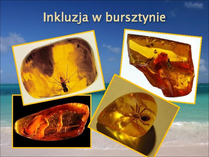 Inkluzja w bursztynie 