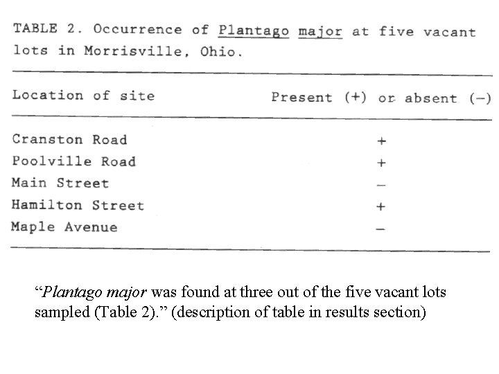“Plantago major was found at three out of the five vacant lots sampled (Table