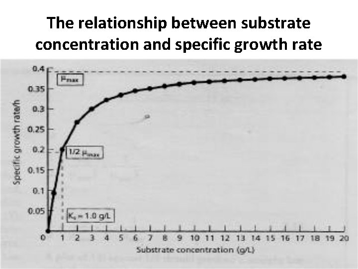 The relationship between substrate concentration and specific growth rate 