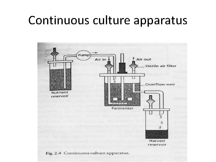 Continuous culture apparatus 