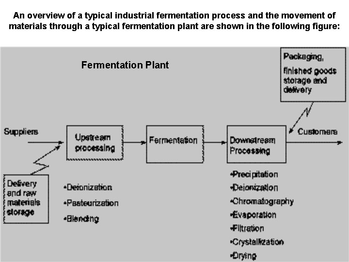 An overview of a typical industrial fermentation process and the movement of materials through