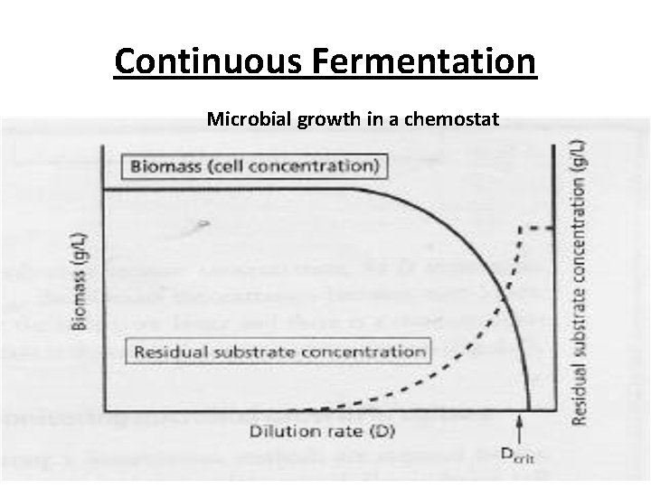 Continuous Fermentation Microbial growth in a chemostat Continuous Fermentation Microbial growth in a chemostat