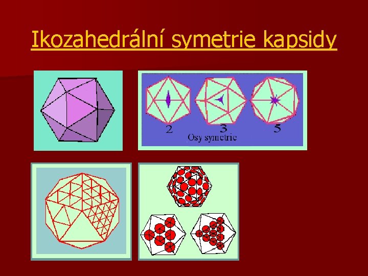 Ikozahedrální symetrie kapsidy 