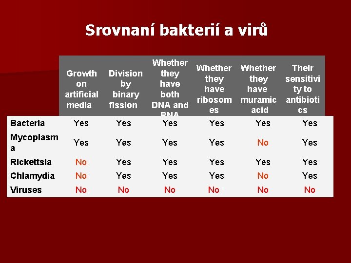 Srovnaní bakterií a virů Bacteria Whether Their they Growth Division they sensitivi have on