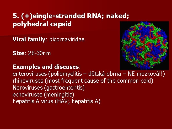 5. (+)single-stranded RNA; naked; polyhedral capsid Viral family: picornaviridae Size: 28 -30 nm Examples