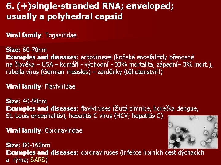 6. (+)single-stranded RNA; enveloped; usually a polyhedral capsid Viral family: Togaviridae Size: 60 -70