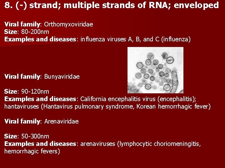 8. (-) strand; multiple strands of RNA; enveloped Viral family: Orthomyxoviridae Size: 80 -200