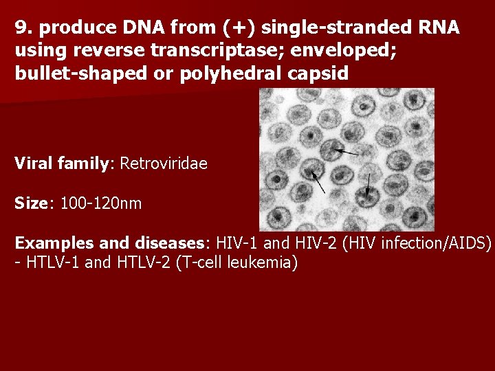 9. produce DNA from (+) single-stranded RNA using reverse transcriptase; enveloped; bullet-shaped or polyhedral