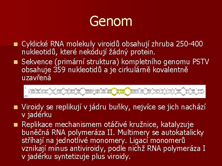 Genom Cyklické RNA molekuly viroidů obsahují zhruba 250 -400 nukleotidů, které nekódují žádný protein.