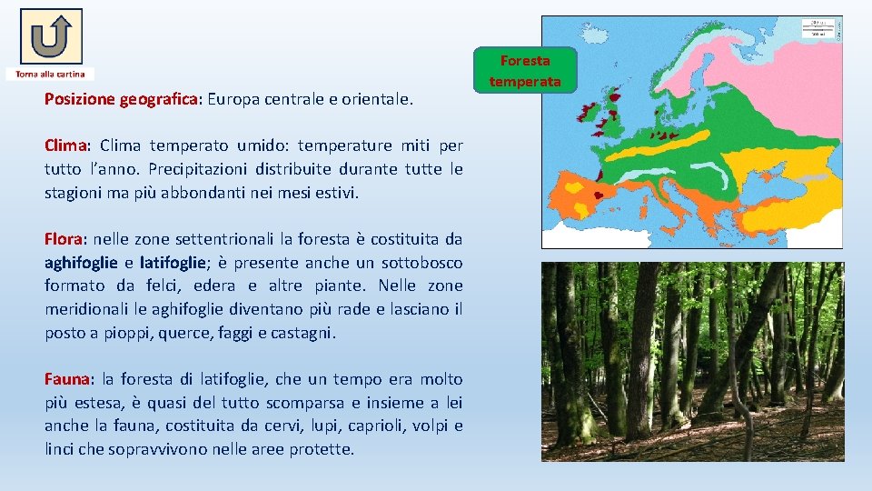 Posizione geografica: Europa centrale e orientale. Clima: Clima temperato umido: temperature miti per tutto