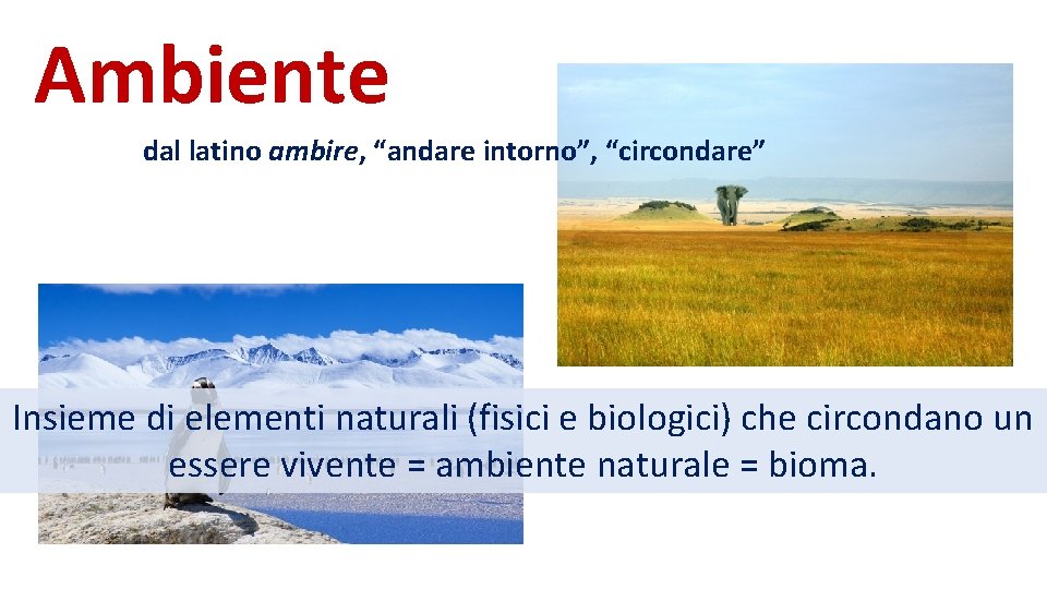 Ambiente dal latino ambire, “andare intorno”, “circondare” Insieme di elementi naturali (fisici e biologici)