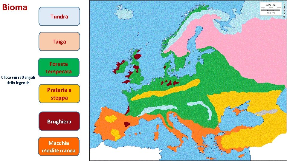 Bioma Tundra Taiga Clicca sui rettangoli della legenda Foresta temperata Prateria e steppa Brughiera