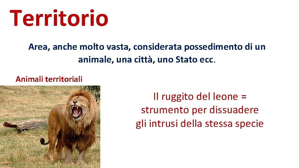 Territorio Area, anche molto vasta, considerata possedimento di un animale, una città, uno Stato