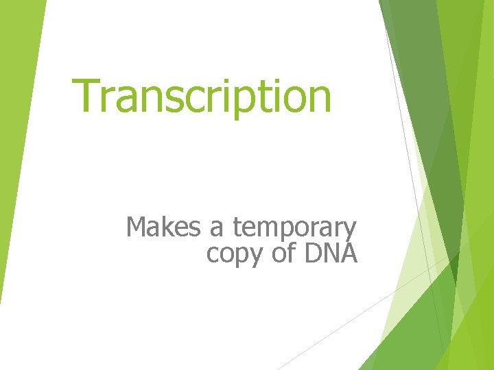 Transcription Makes a temporary copy of DNA 