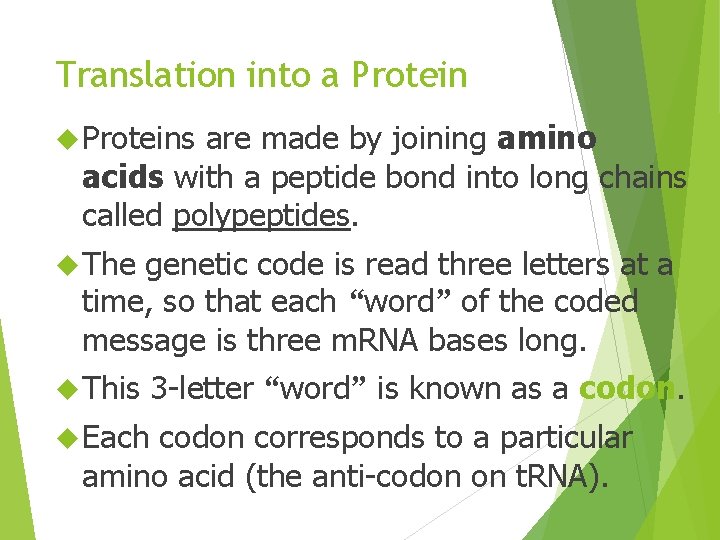 Translation into a Proteins are made by joining amino acids with a peptide bond