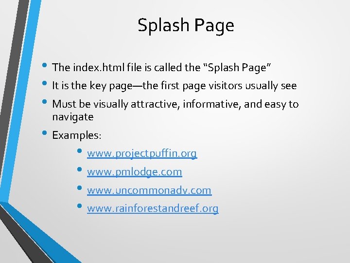 Splash Page • The index. html file is called the “Splash Page” • It Splash Page • The index. html file is called the “Splash Page” • It