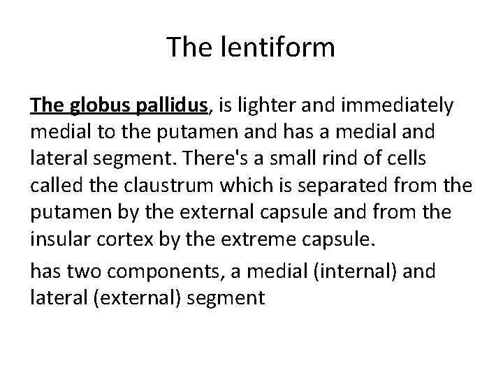 The lentiform The globus pallidus, is lighter and immediately medial to the putamen and The lentiform The globus pallidus, is lighter and immediately medial to the putamen and