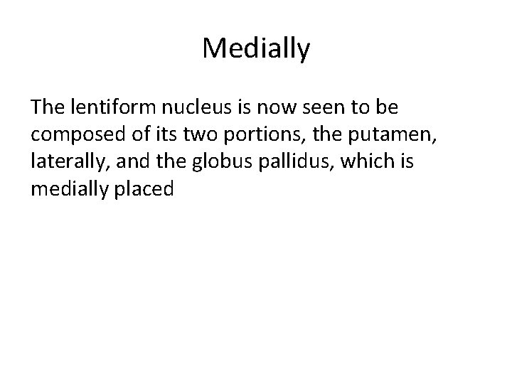 Medially The lentiform nucleus is now seen to be composed of its two portions, Medially The lentiform nucleus is now seen to be composed of its two portions,