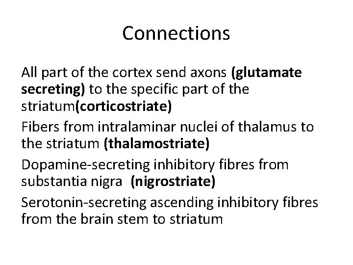 Connections All part of the cortex send axons (glutamate secreting) to the specific part Connections All part of the cortex send axons (glutamate secreting) to the specific part
