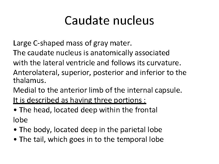Caudate nucleus Large C-shaped mass of gray mater. The caudate nucleus is anatomically associated Caudate nucleus Large C-shaped mass of gray mater. The caudate nucleus is anatomically associated