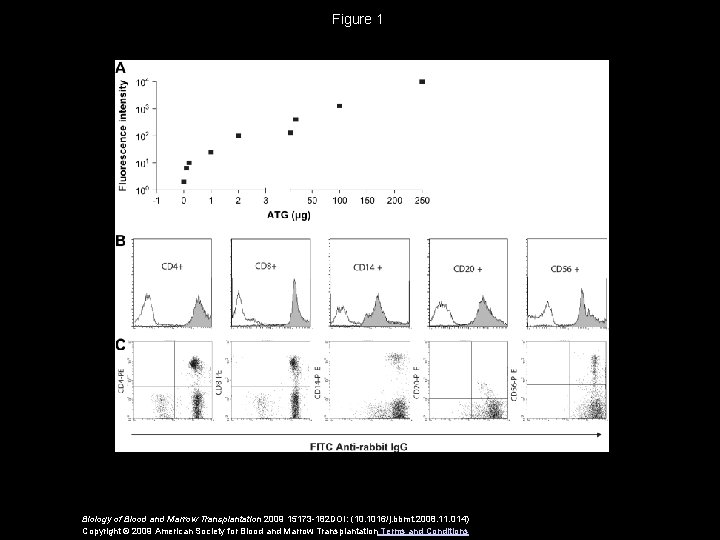 Figure 1 Biology of Blood and Marrow Transplantation 2009 15173 -182 DOI: (10. 1016/j.