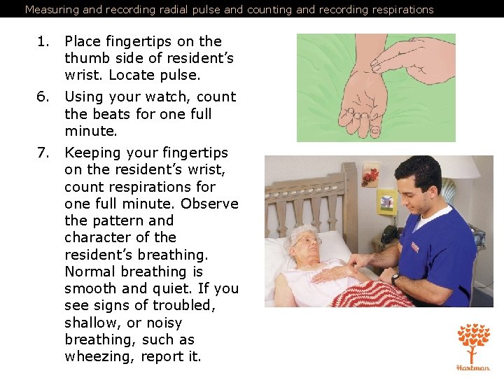 Measuring and recording radial pulse and counting and recording respirations 1. Place fingertips on