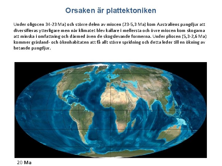 Orsaken är plattektoniken Under oligocen 34 -23 Ma) och större delen av miocen (23