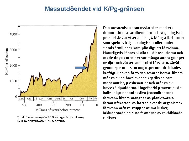 Massutdöendet vid K/Pg-gränsen Totalt försvann ungefär 16 % av organismfamiljerna, 47 % av släktena